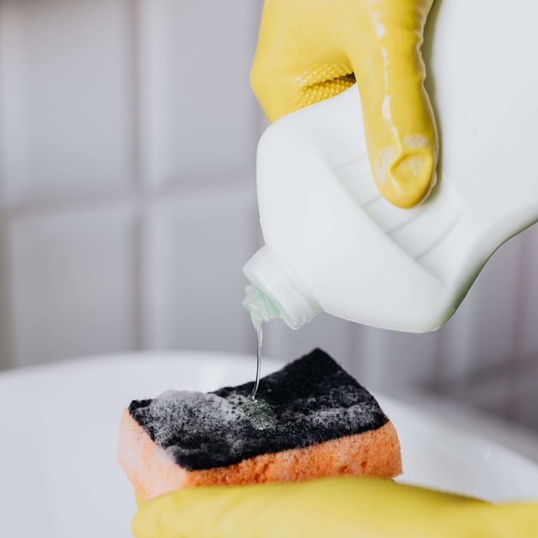 gloved hand squeezing soap onto sponge